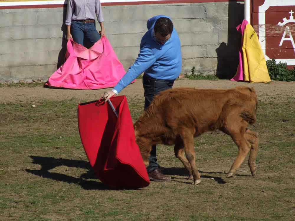 Acontecimiento taurino en Aguas Vivas