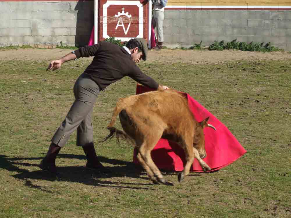 Acontecimiento taurino en Aguas Vivas