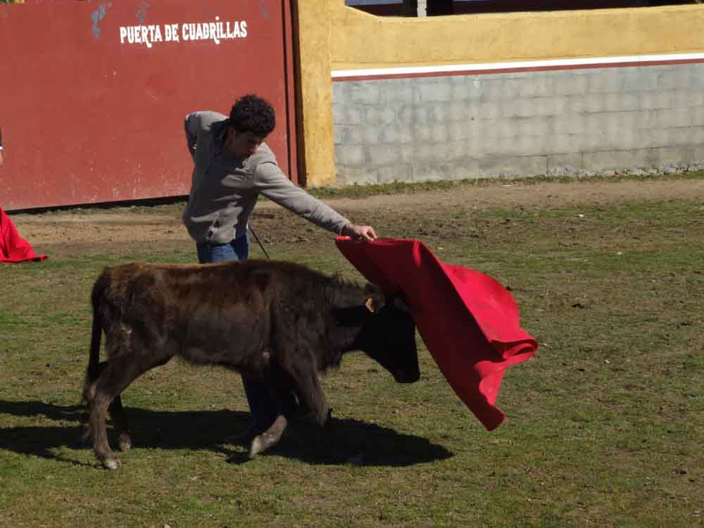 Acontecimiento taurino en Aguas Vivas