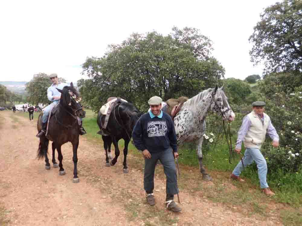 Romeria de San Bernardino