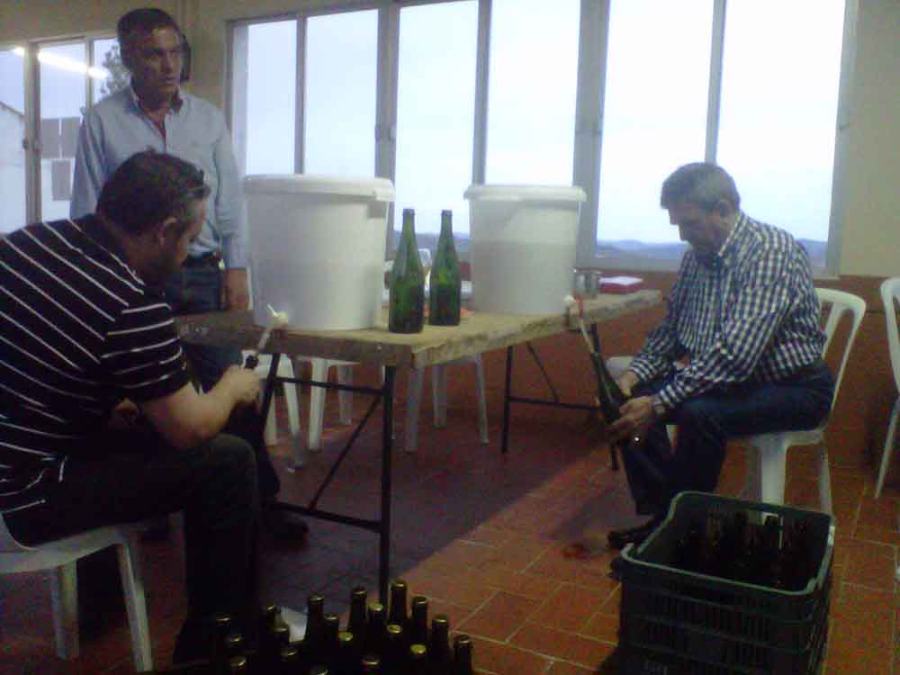 Elaboracin de cerveza artesanal