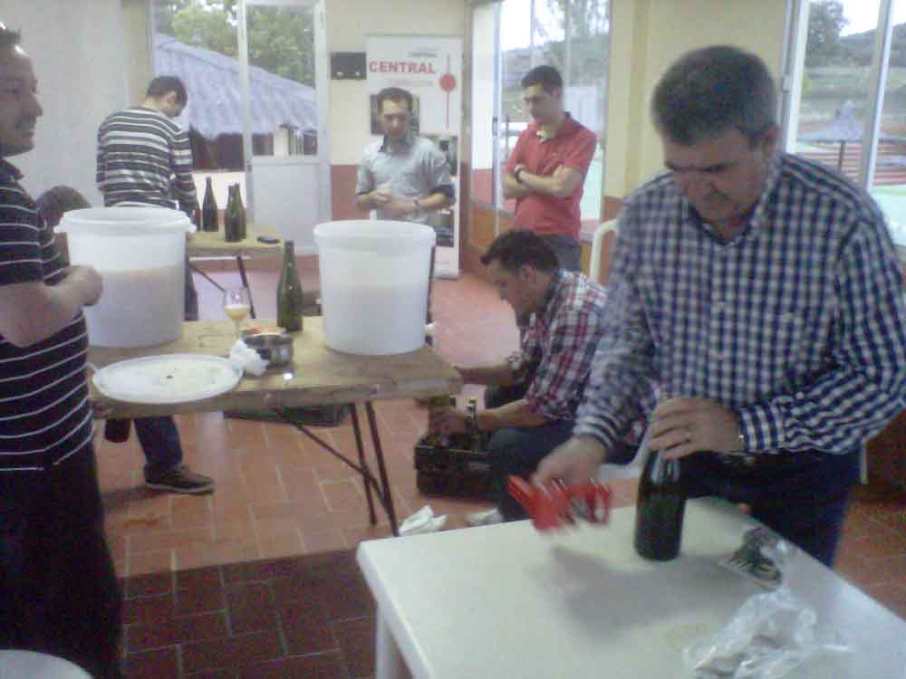 Elaboracin de cerveza artesanal