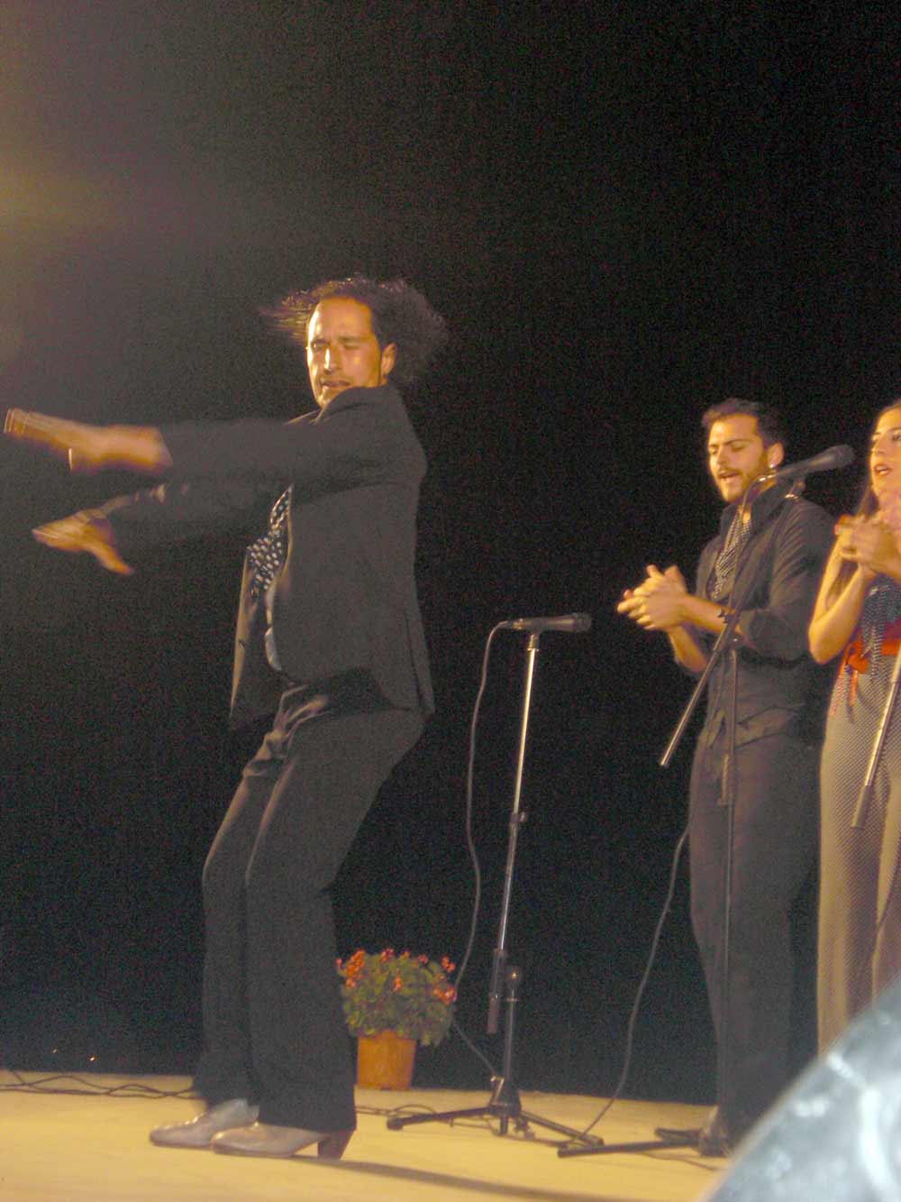 III Festival Flamenco 