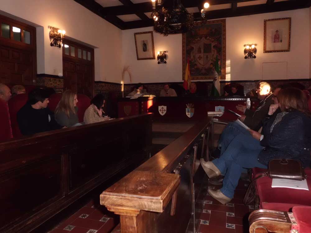 Sesi�n plenaria extraordinaria, presupuesto 2014