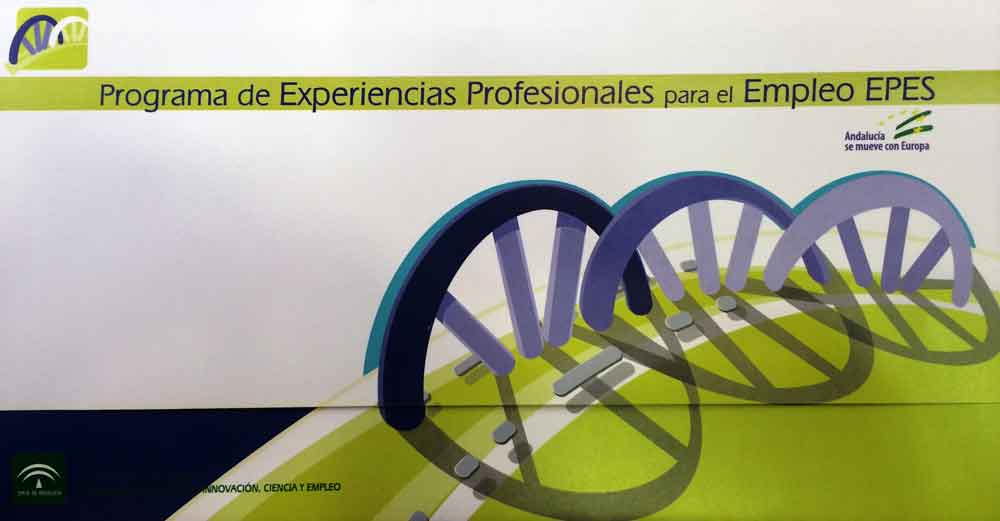 Prcticas becadas en empresas de la zona