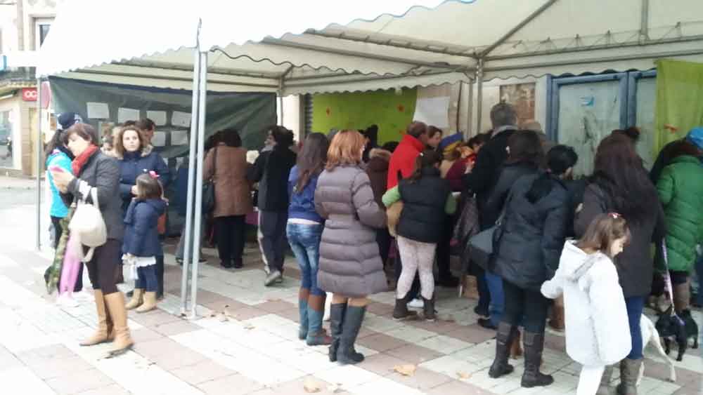 Bendicin de animales por San Antn