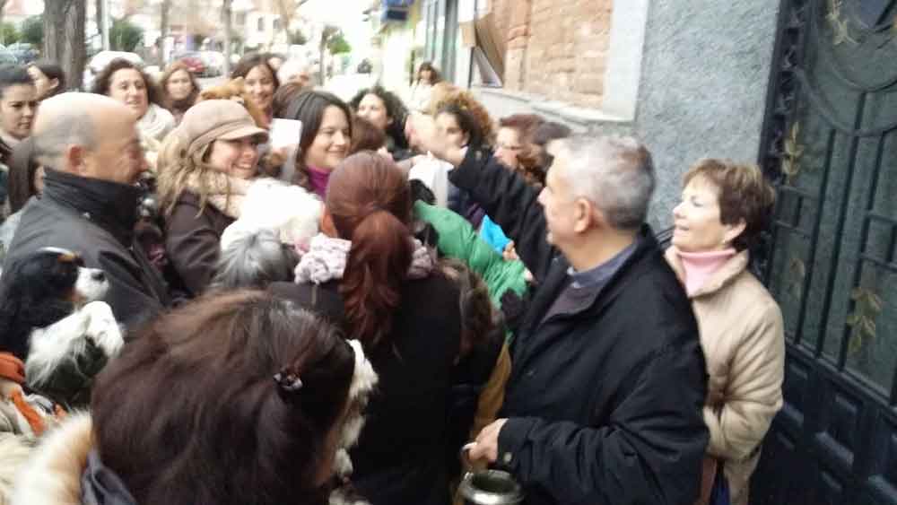 Bendicin de animales por San Antn