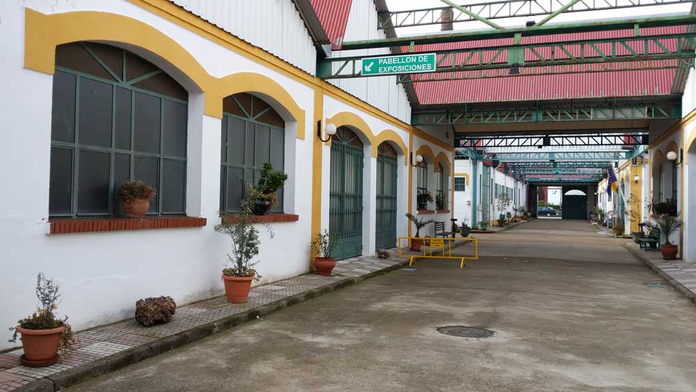 Expoguadiato no se celebrar este ao