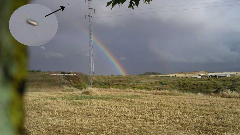 Raro objeto volador aparecido en los cielos pearriblenses