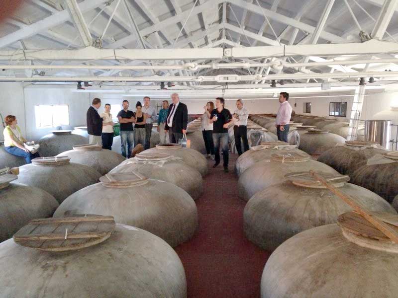 Visita de estudio al Guadiato de Efxini Poli