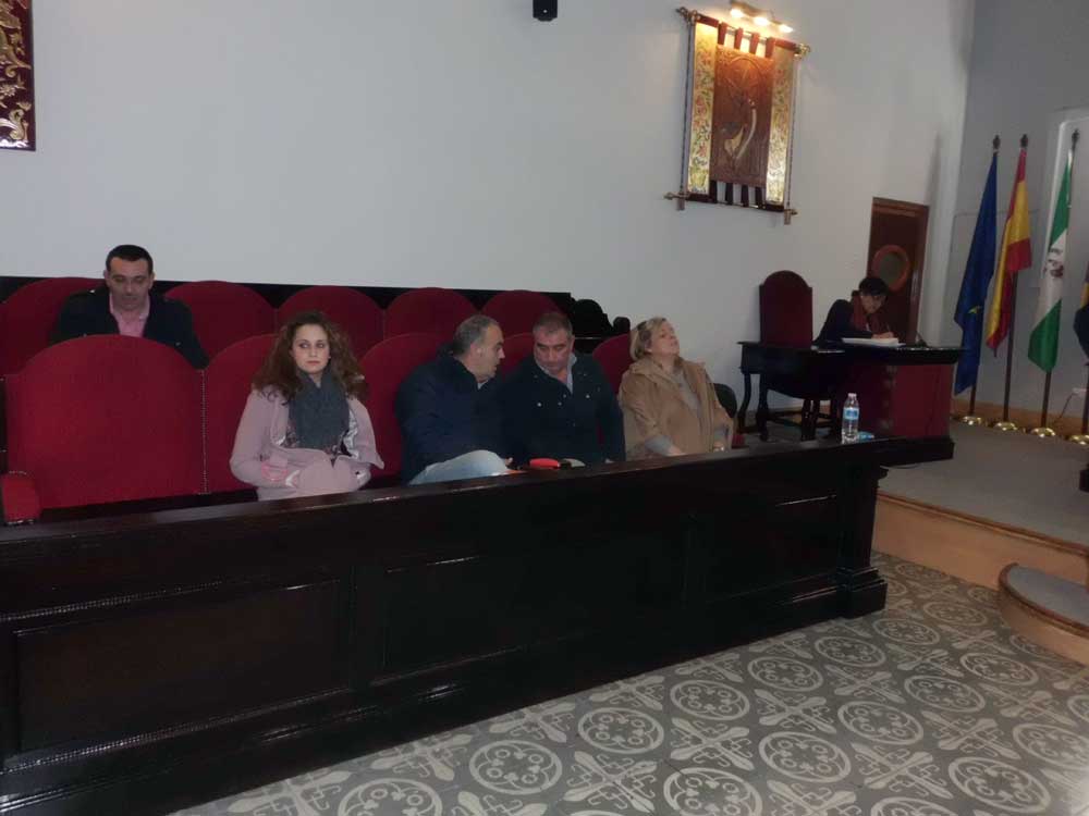 Pleno ordinario del mes de junio en Pearroya