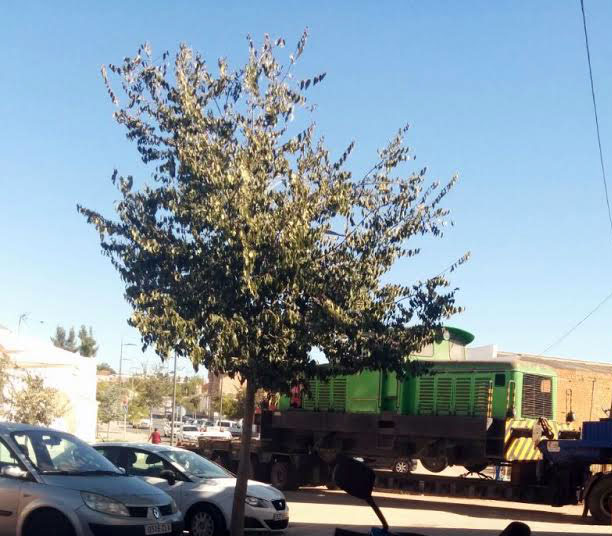 Camin con la mquina cargada destino Almacn Central hoy jueves