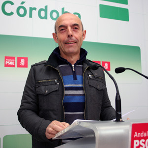 Diputado del PSOE en el Congreso por Crdoba